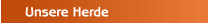 Unsere Herde