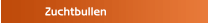 Zuchtbullen